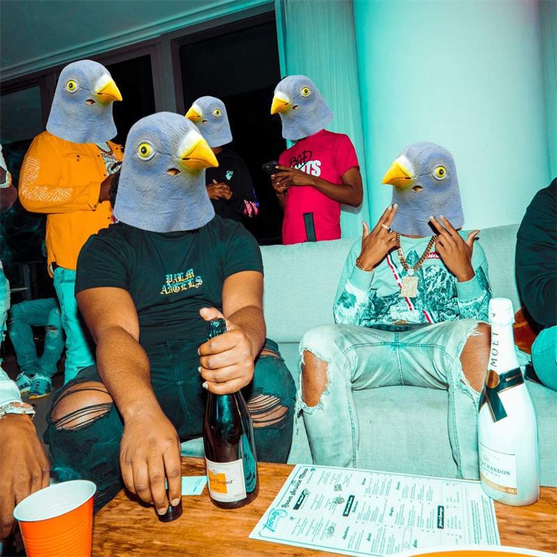 Pigeon mask costume novelty Ha - Skincare Pigeon recension och pris
