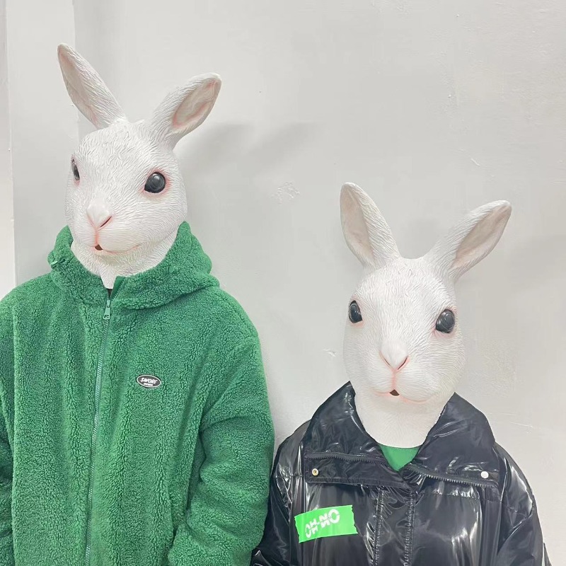 Put on Masks, Animal Headgear, - Skincare Pigeon recension och pris